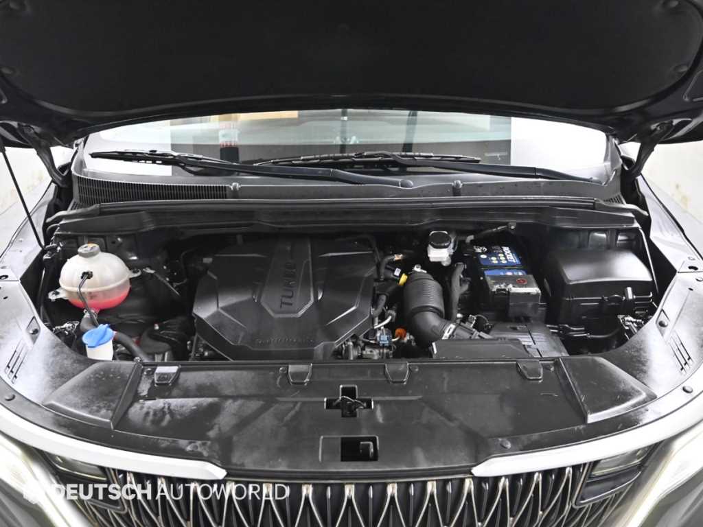 KIA Carnival - Vista 6