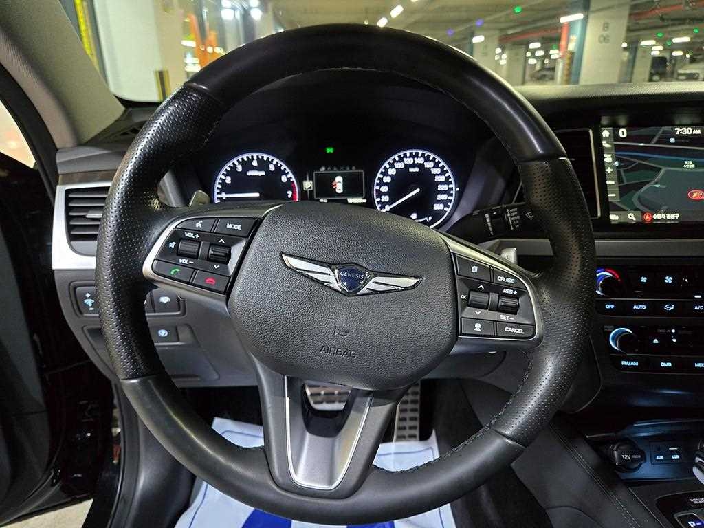 HYUNDAI Genesis - Vista 8