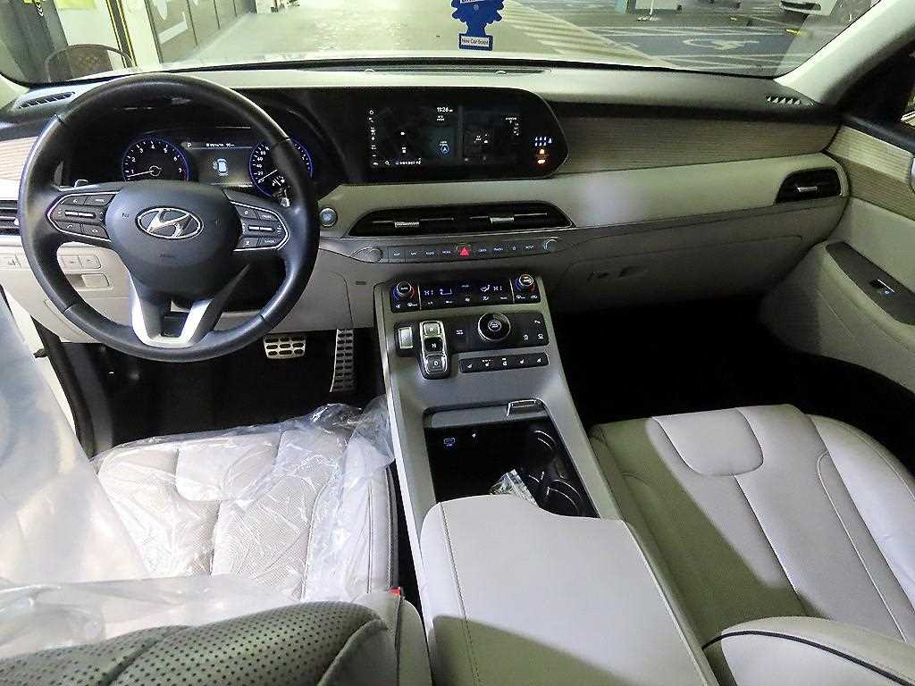 HYUNDAI Palisade - Vista 10