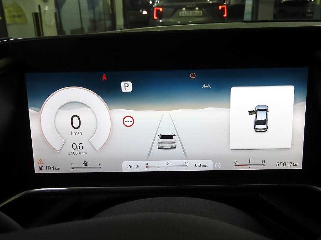 Genesis G90 - Vista 9