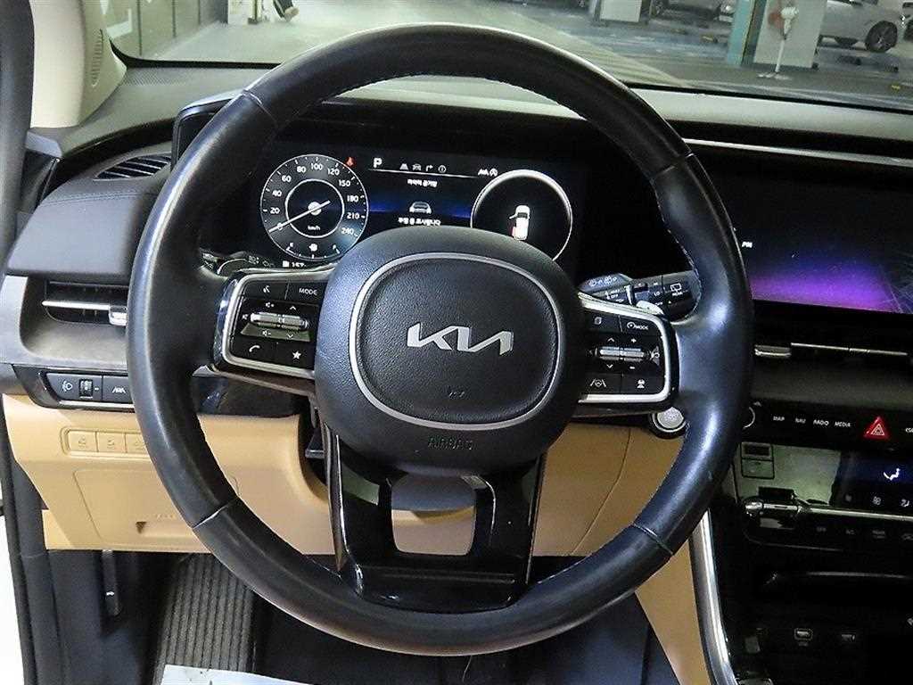 KIA Carnival - Vista 8