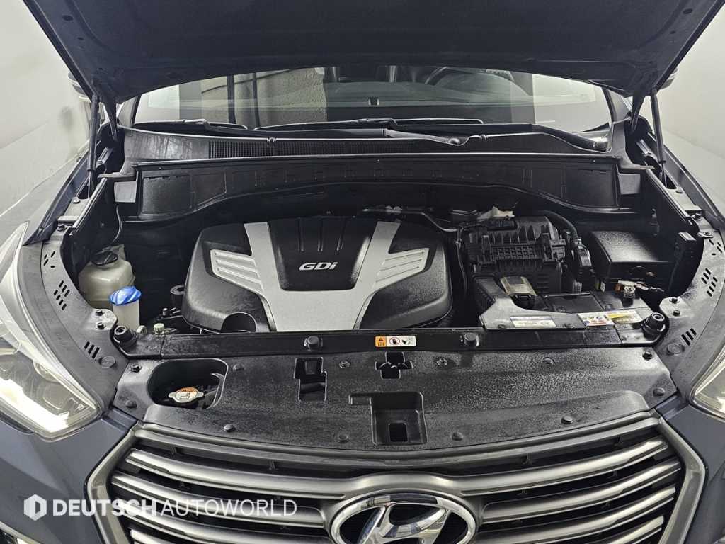 HYUNDAI Maxcruz - Vista 6