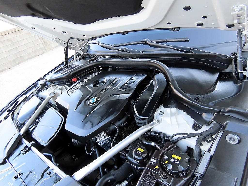 BMW 5 Series 2018 Blanco - Importación desde Corea - HF Imports Iquique - Foto 18