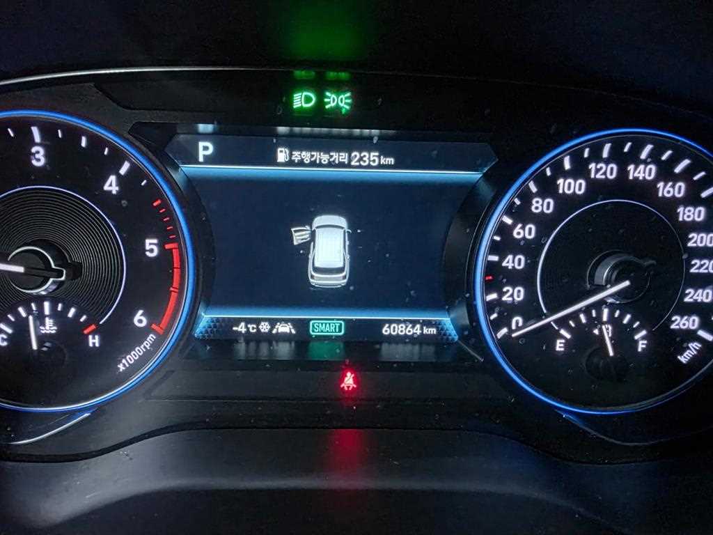 HYUNDAI Palisade - Vista 10