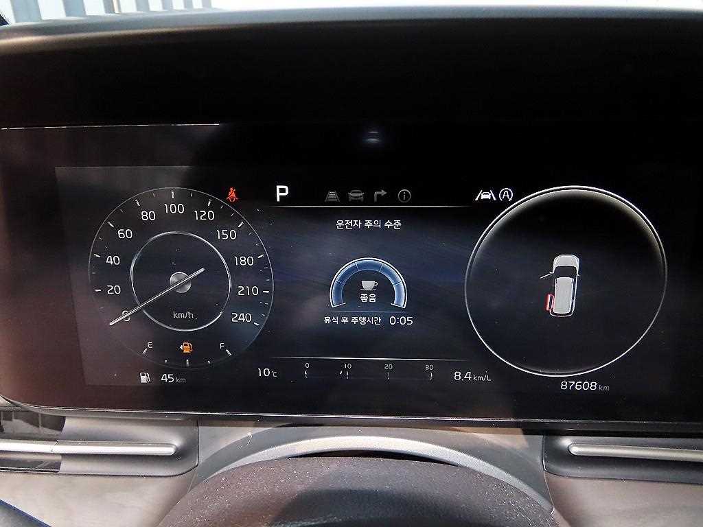 KIA Carnival - Vista 10