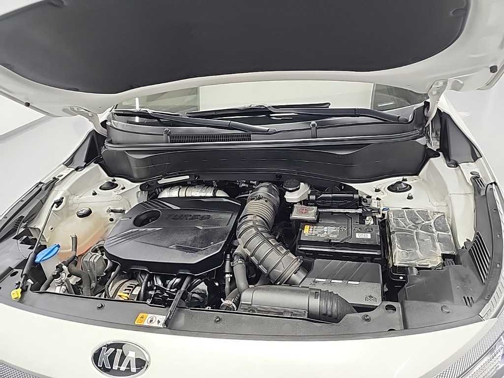 KIA Seltos - Vista 5