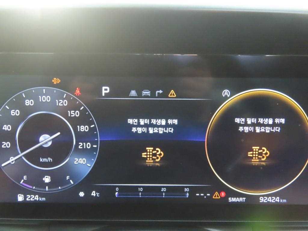 KIA Carnival - Vista 8