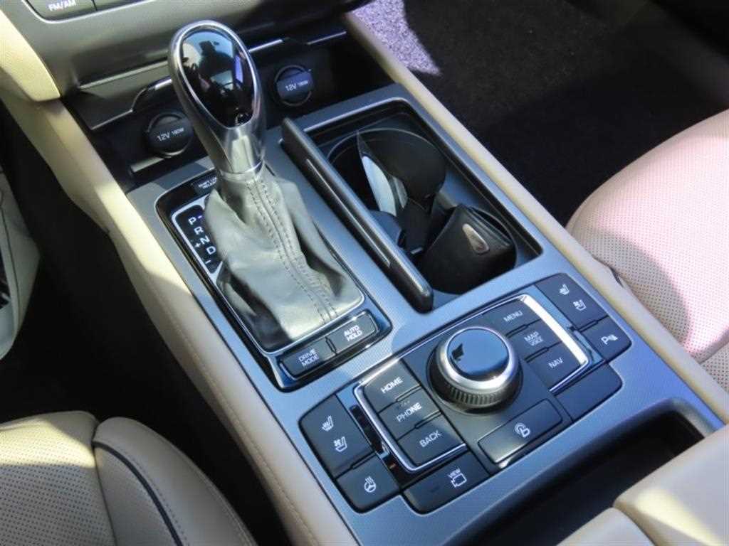 HYUNDAI Genesis - Vista 6