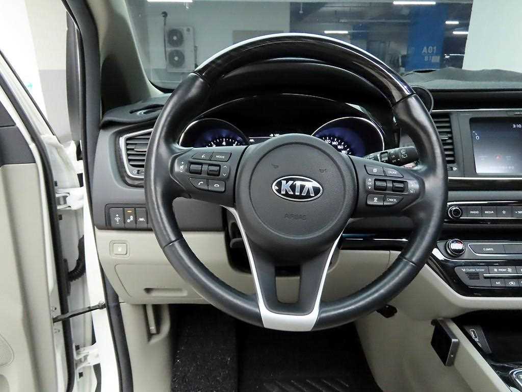 KIA Carnival - Vista 8