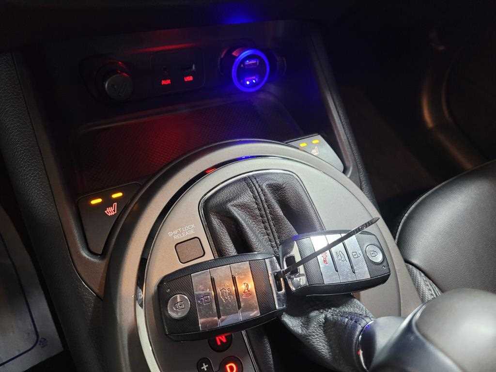 KIA Sportage - Vista 12