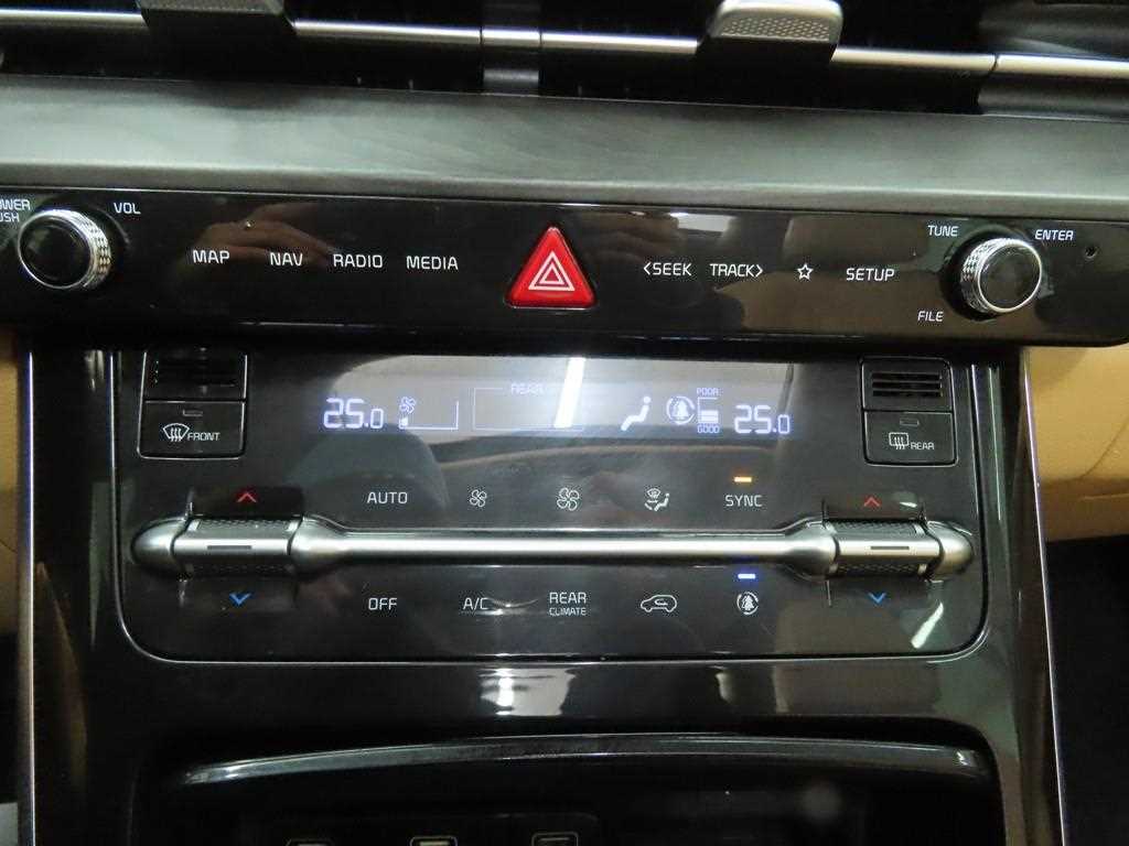 KIA Carnival - Vista 11