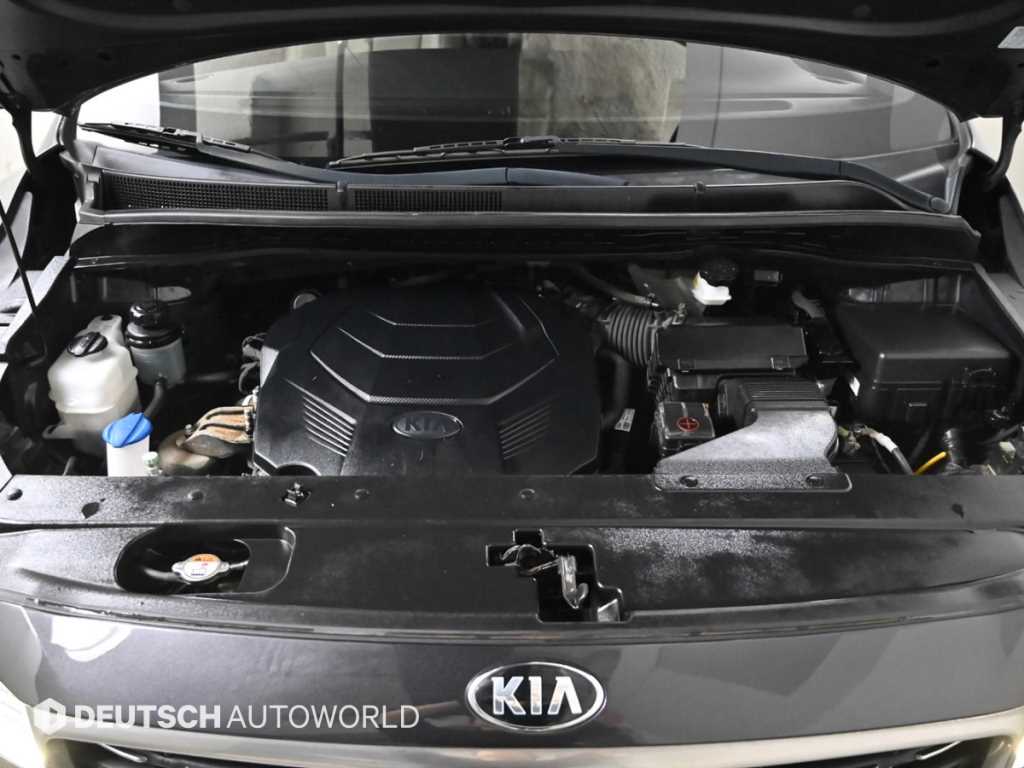 KIA Carnival - Vista 6