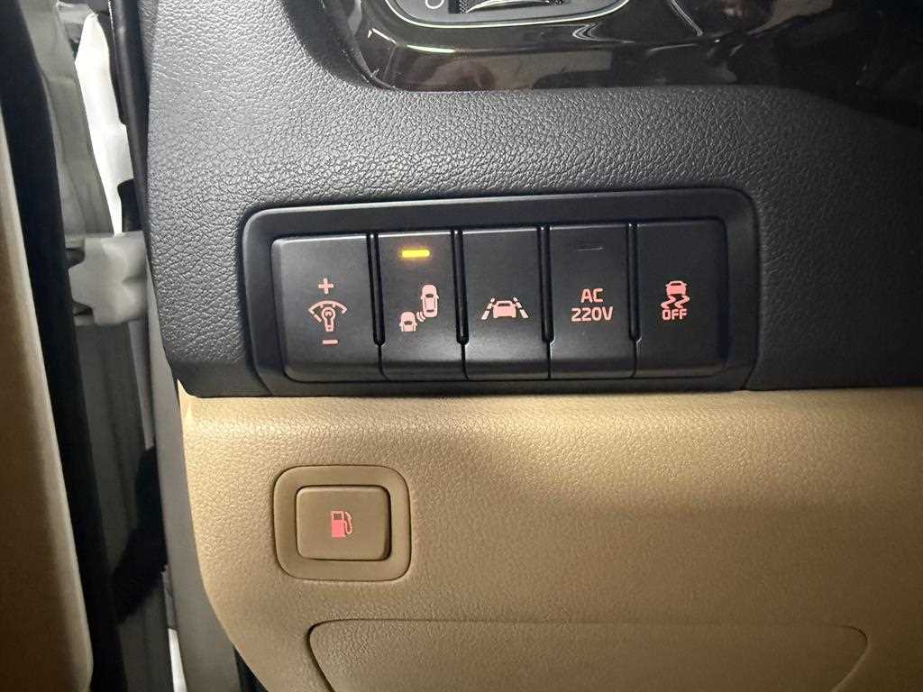 KIA Carnival - Vista 12