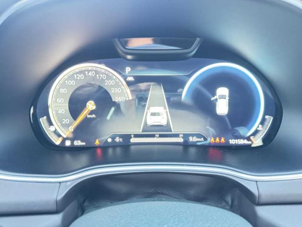 Genesis GV80 - Vista 6