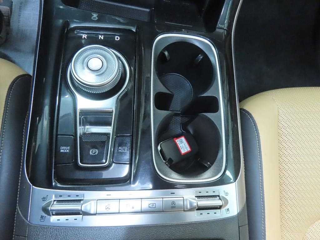 KIA Carnival - Vista 12