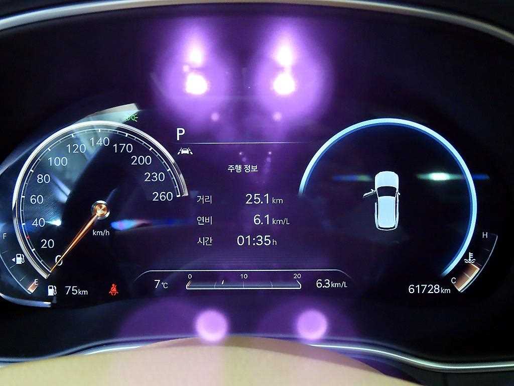 Genesis GV80 - Vista 9