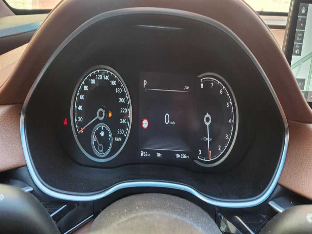 Genesis G80 - Vista 5