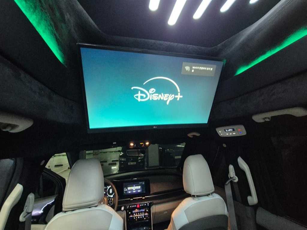 KIA Carnival - Vista 8