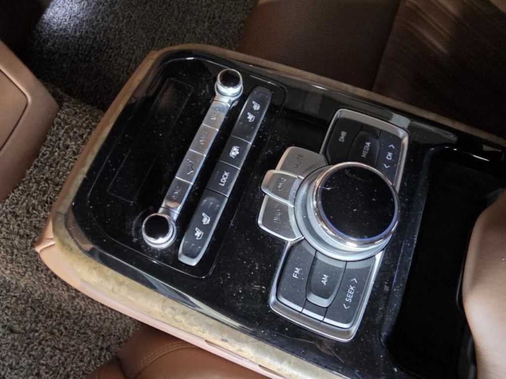 Genesis G90 - Vista 12