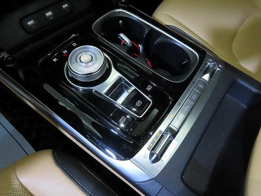 KIA Carnival - Vista 12