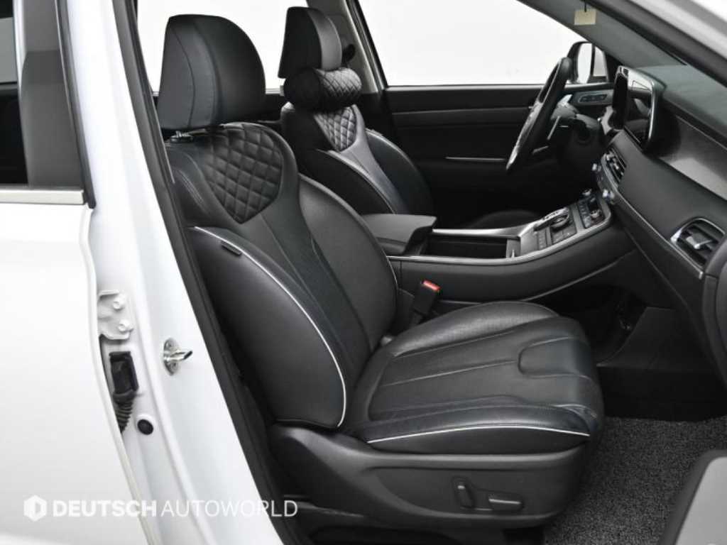 HYUNDAI Palisade - Vista 10