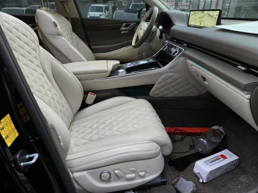 Genesis GV80 - Vista 10