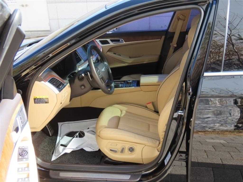 HYUNDAI Genesis - Vista 12