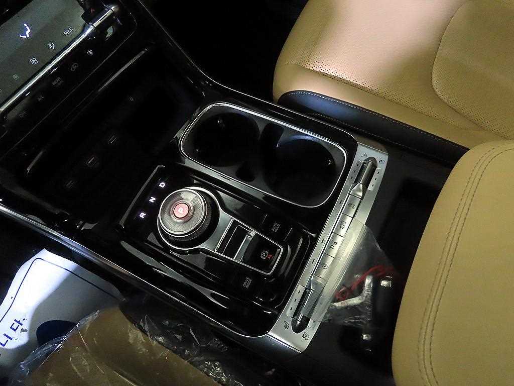 KIA Carnival - Vista 12