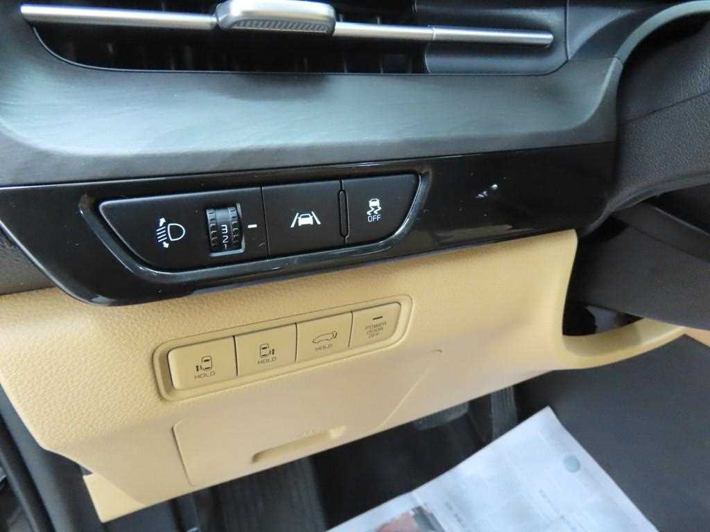 KIA Carnival - Vista 10