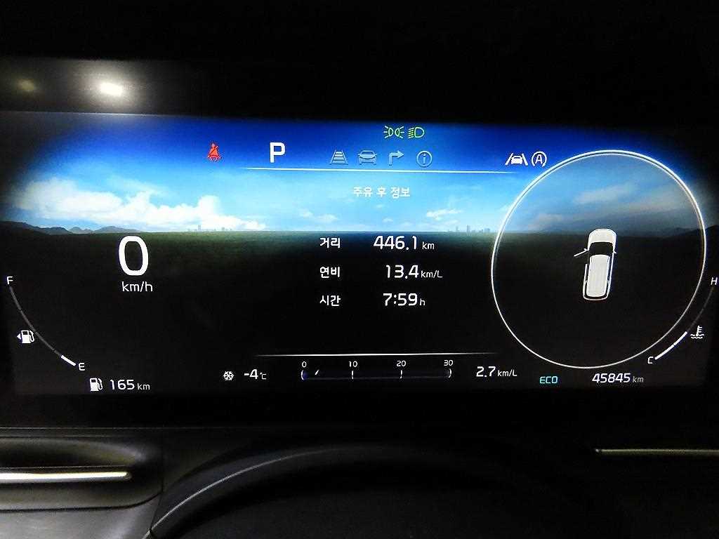 KIA Carnival - Vista 9