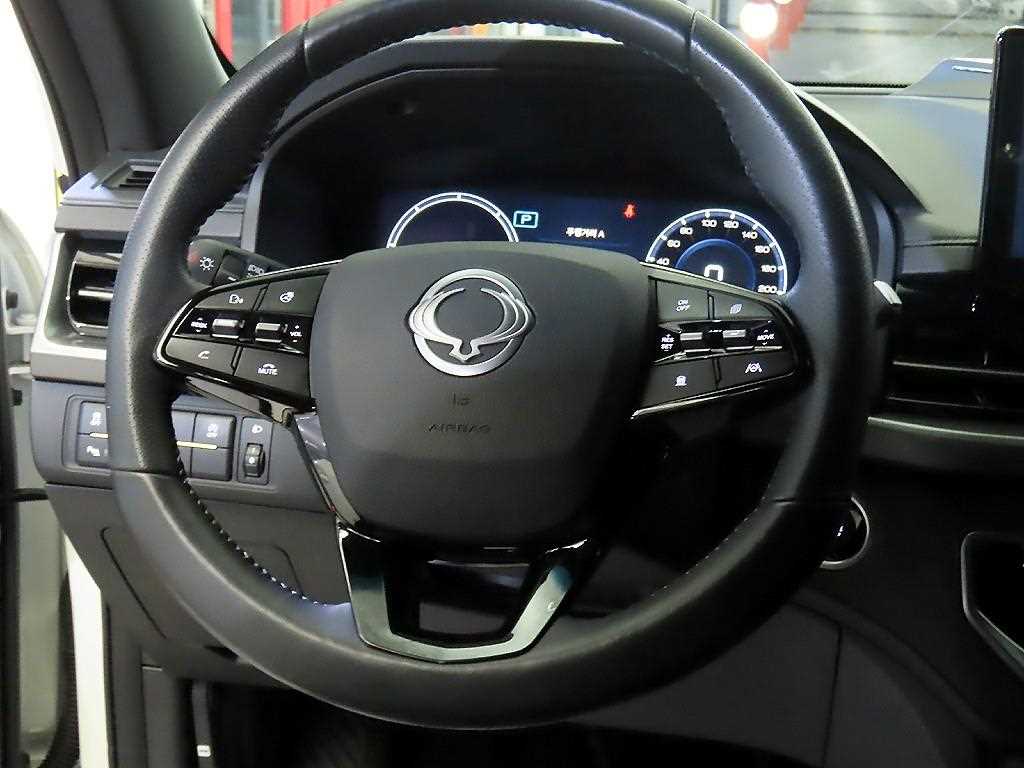 Ssangyong Rexton - Vista 8