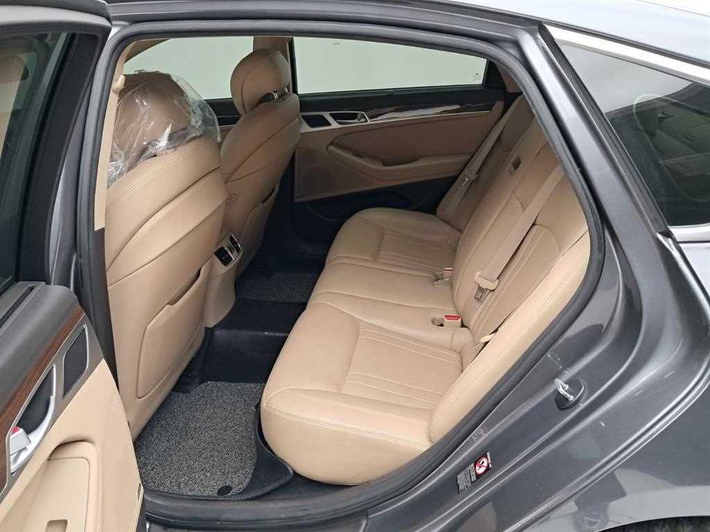 HYUNDAI Genesis - Vista 12