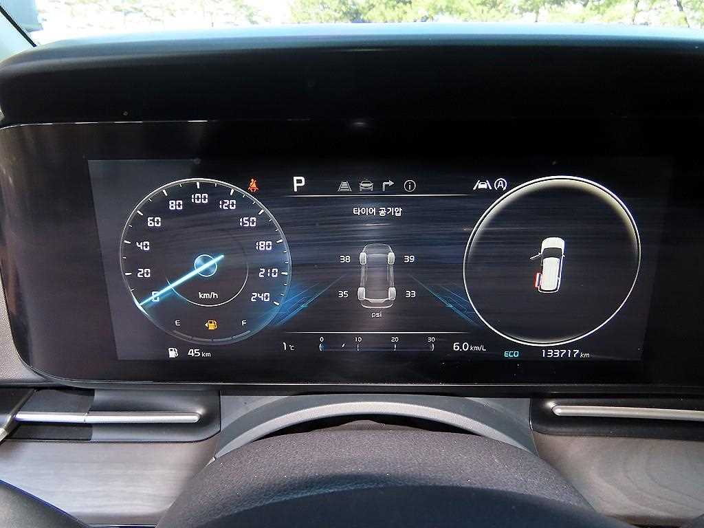 KIA Carnival - Vista 10