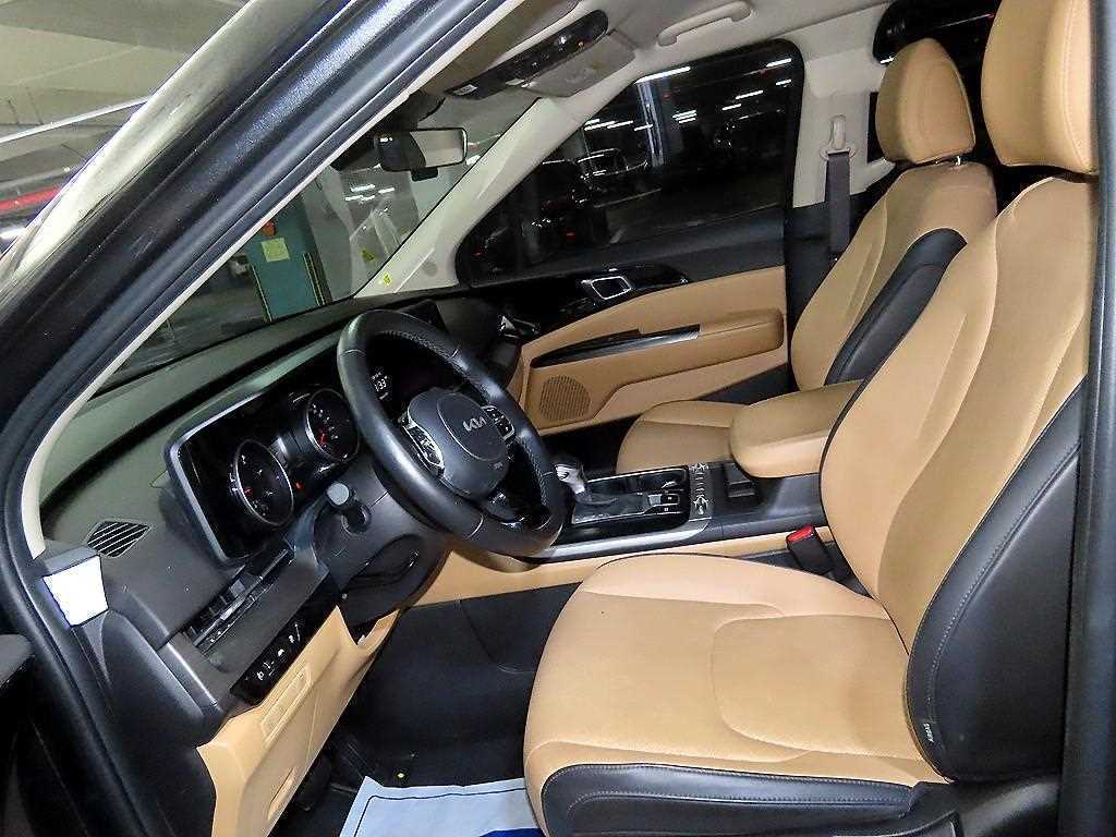 KIA Carnival - Vista 7