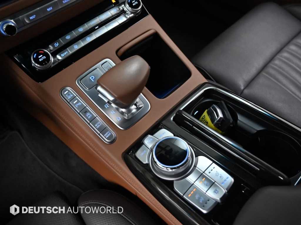 Genesis G90 - Vista 9