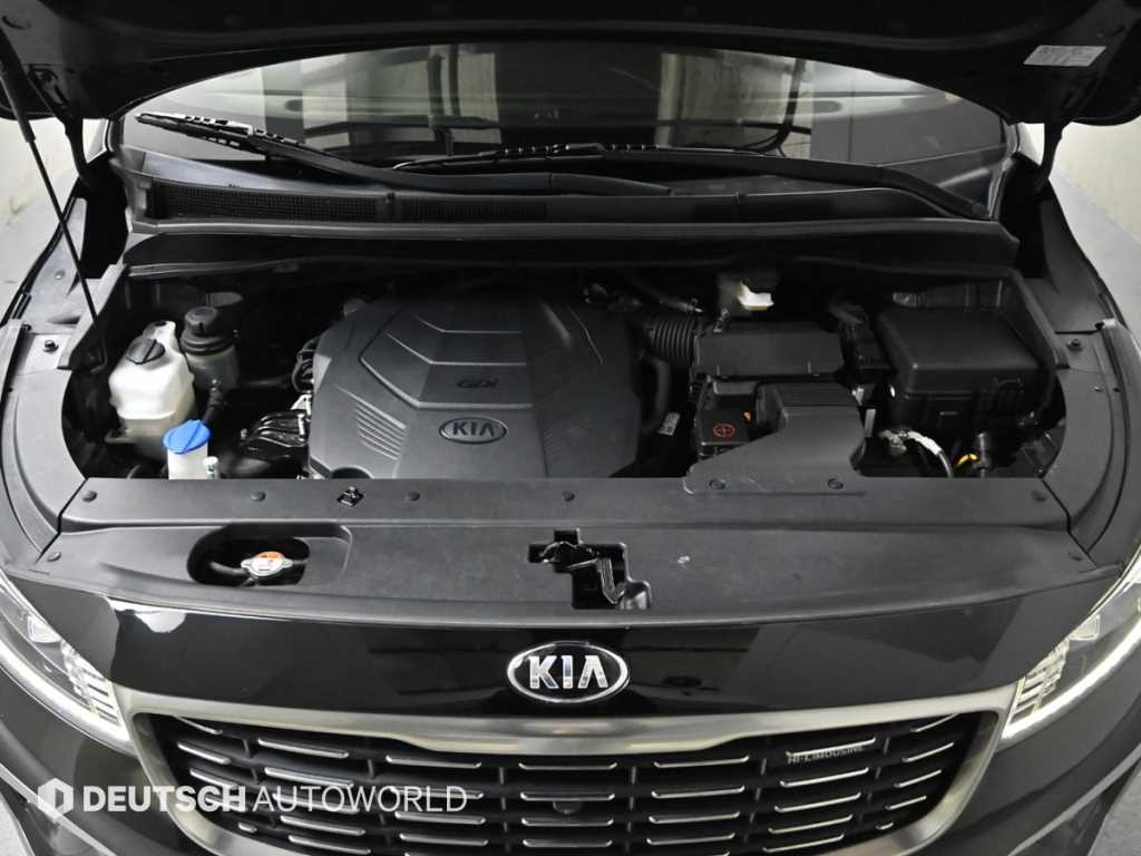 KIA Carnival - Vista 6