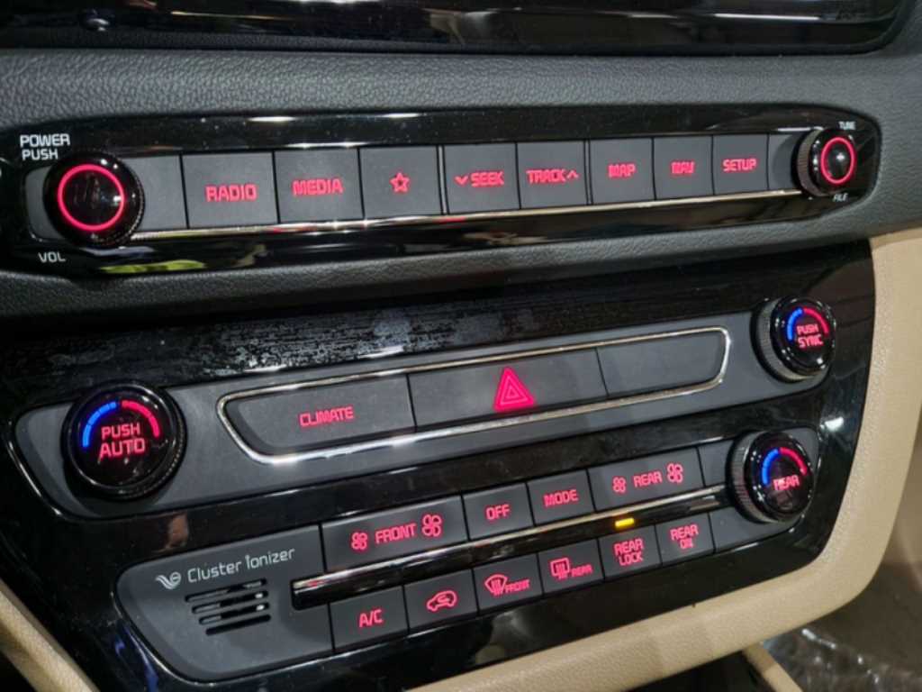 KIA Carnival - Vista 12