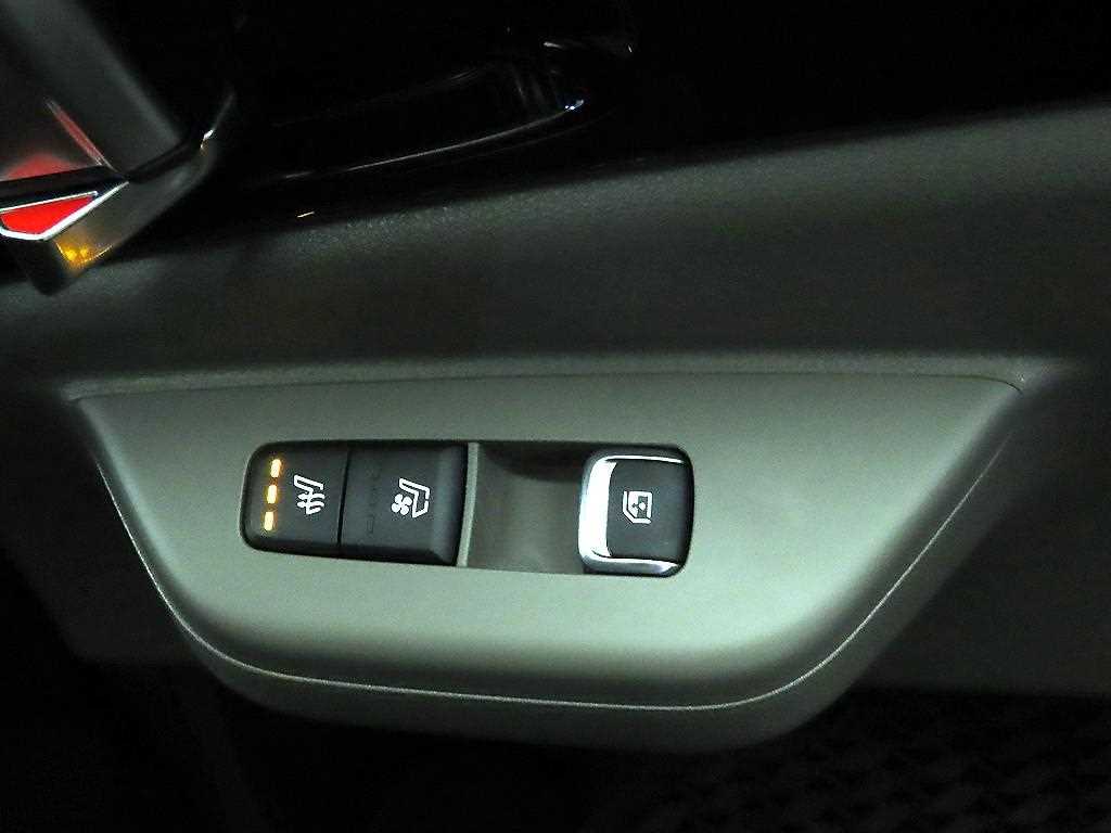 KIA Carnival - Vista 12