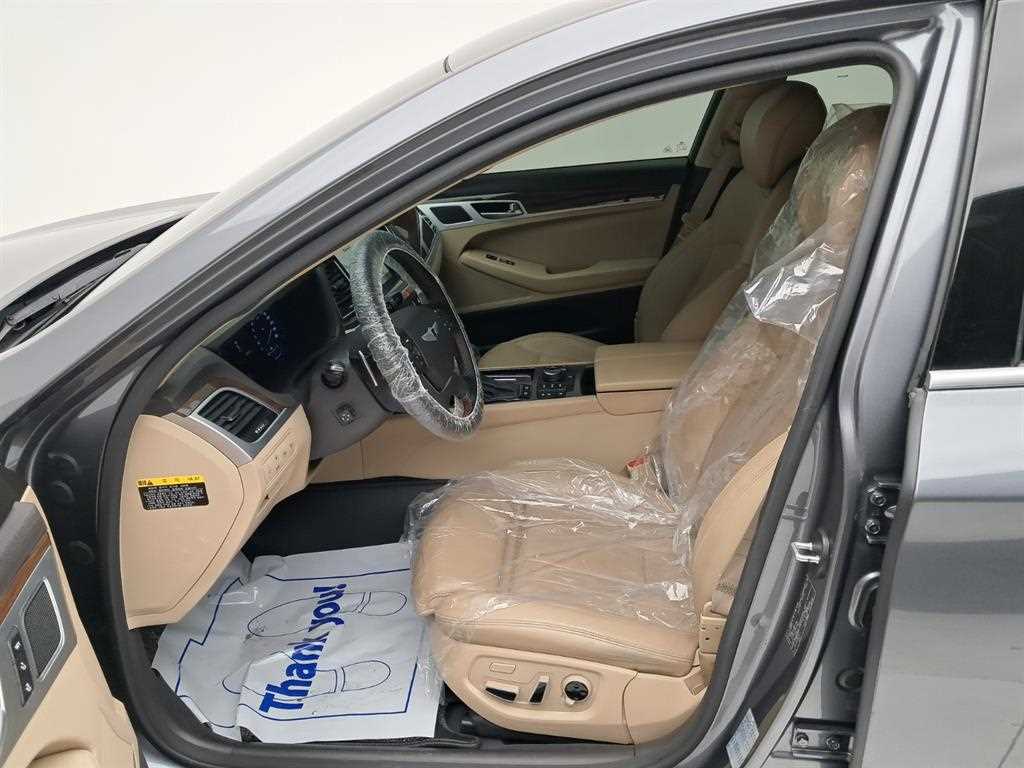 HYUNDAI Genesis - Vista 11