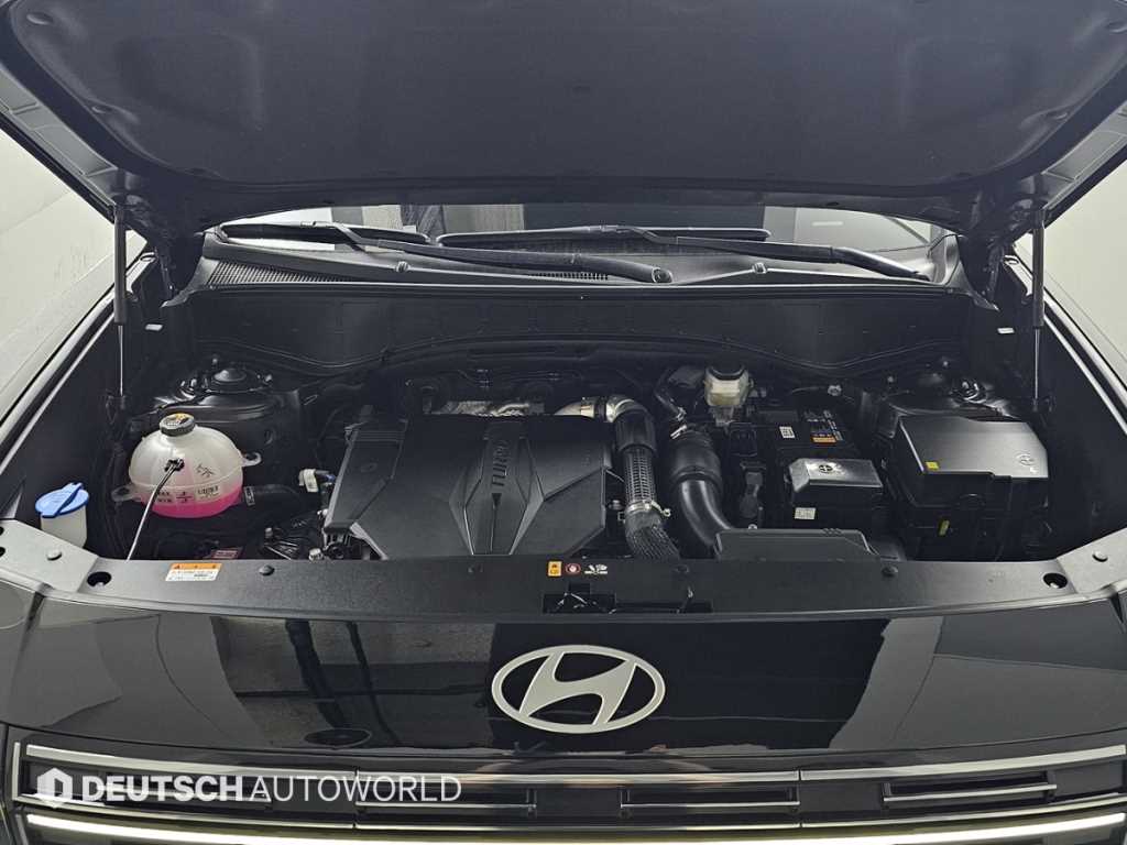 HYUNDAI Palisade - Vista 6