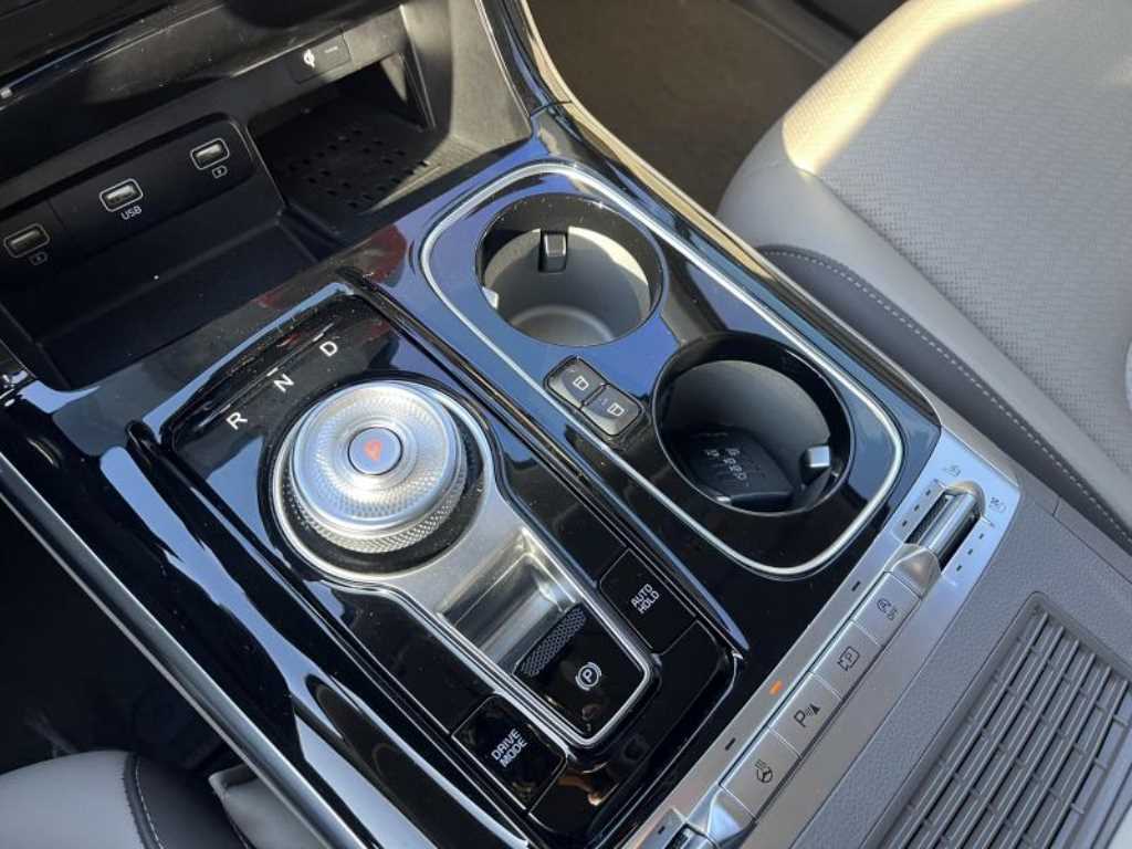 KIA Carnival - Vista 11