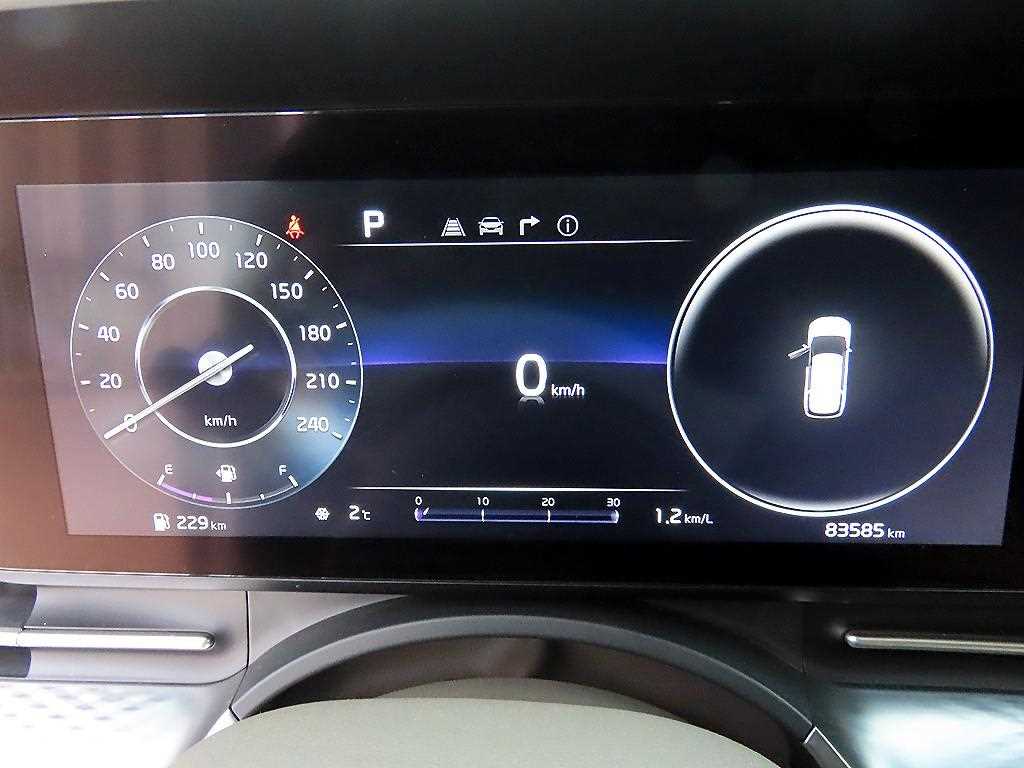 KIA Carnival - Vista 10