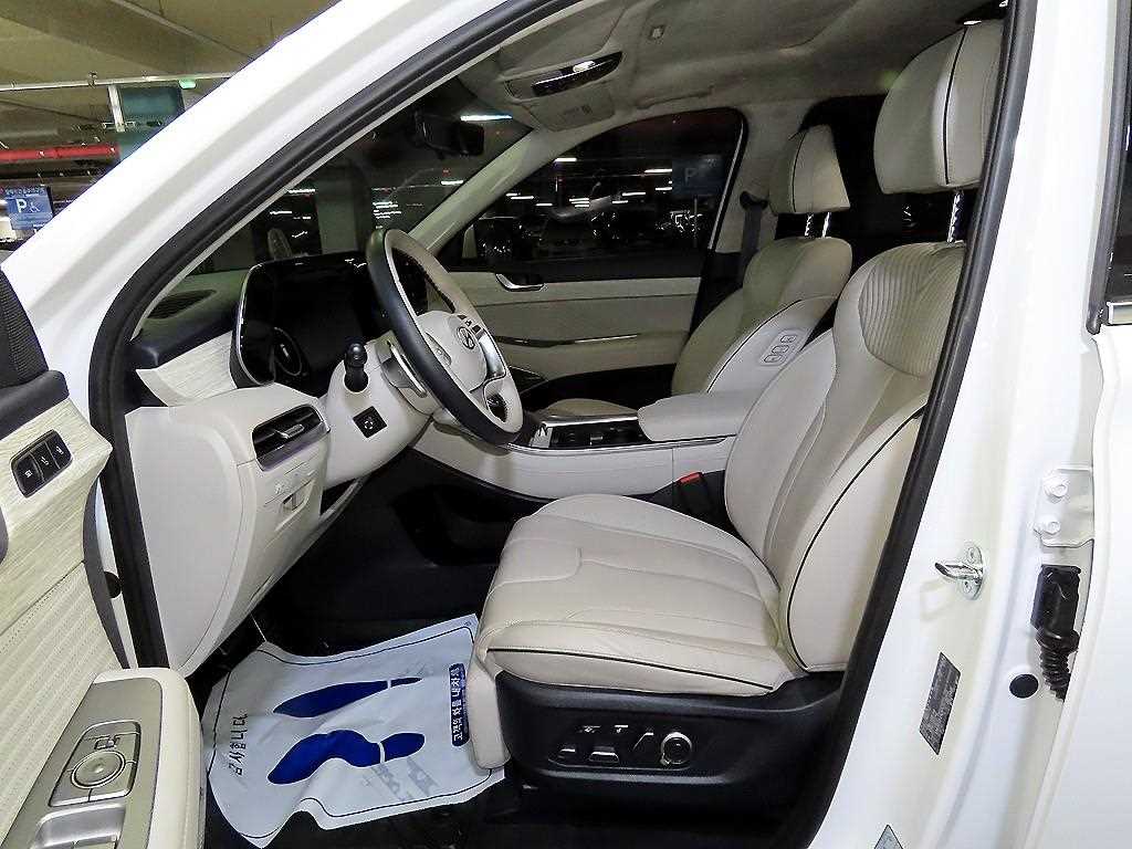 HYUNDAI Palisade - Vista 6