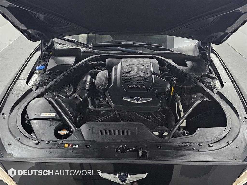 HYUNDAI Genesis - Vista 6