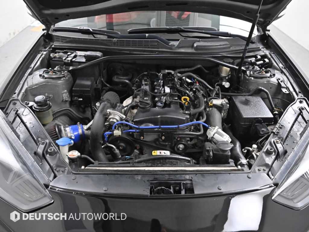 HYUNDAI Genesis - Vista 6