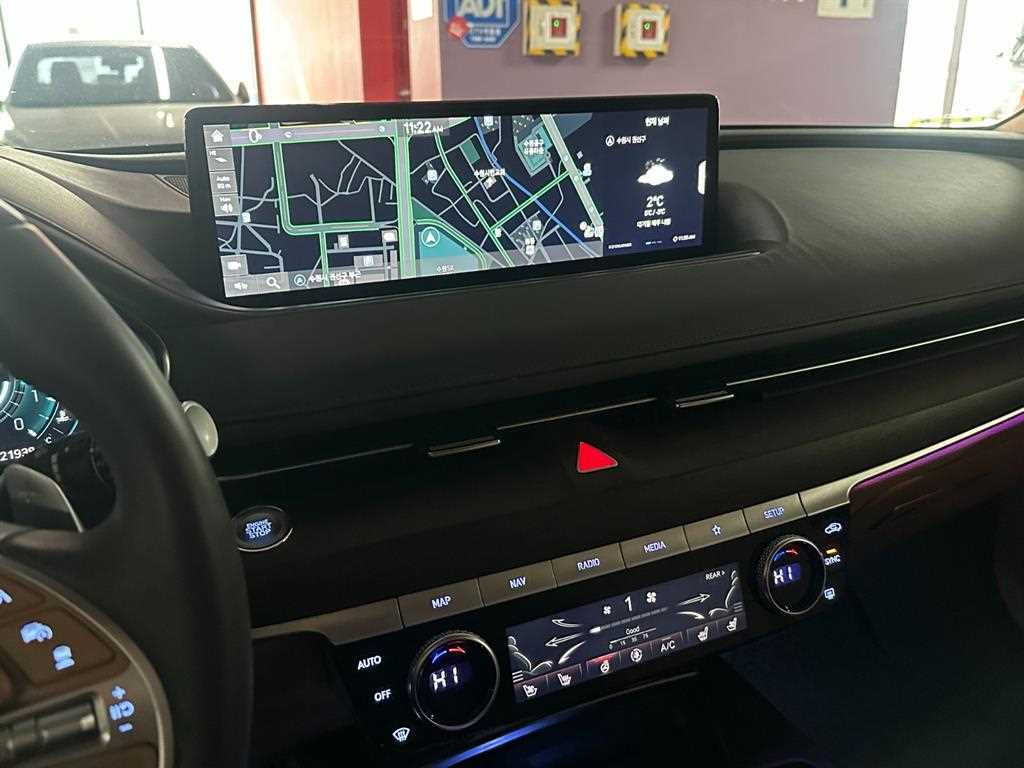 Genesis G80 - Vista 9