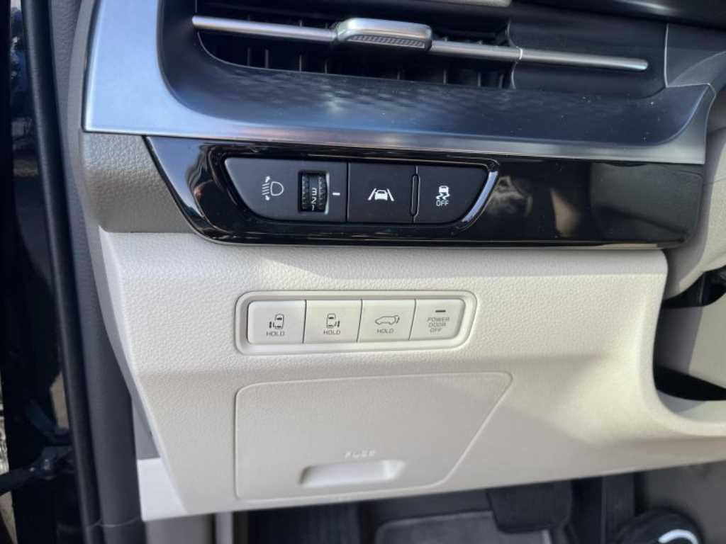 KIA Carnival - Vista 12