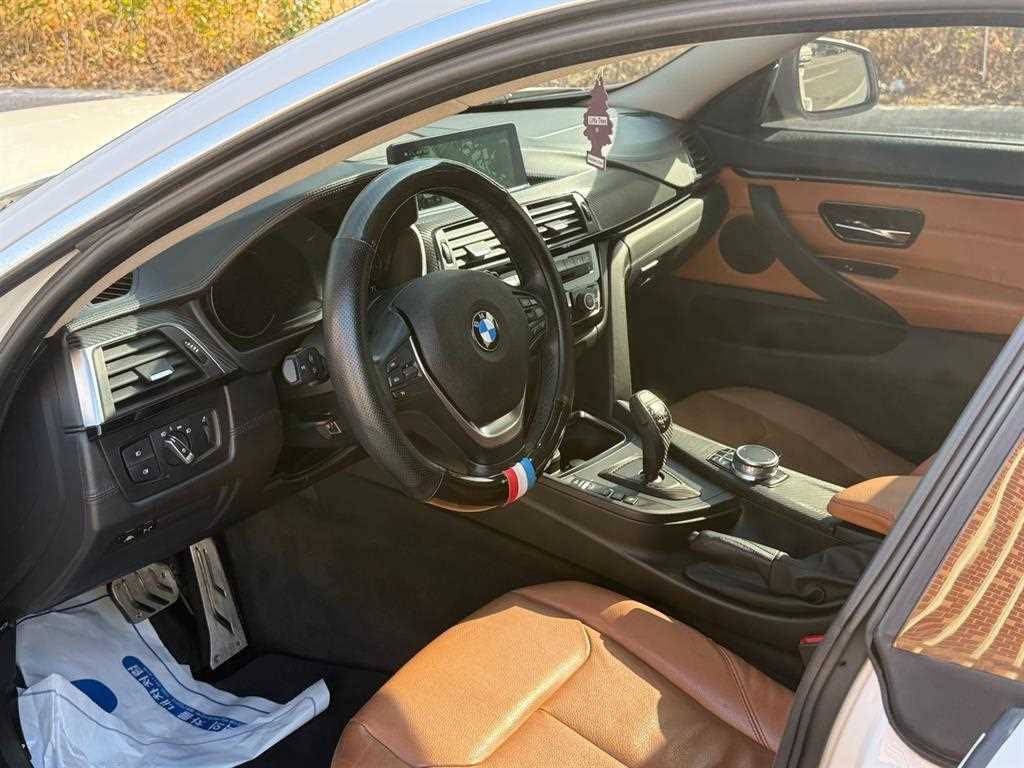BMW 4 Series - Vista 9