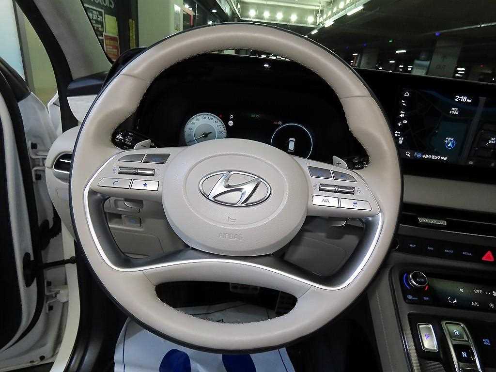 HYUNDAI Palisade - Vista 8