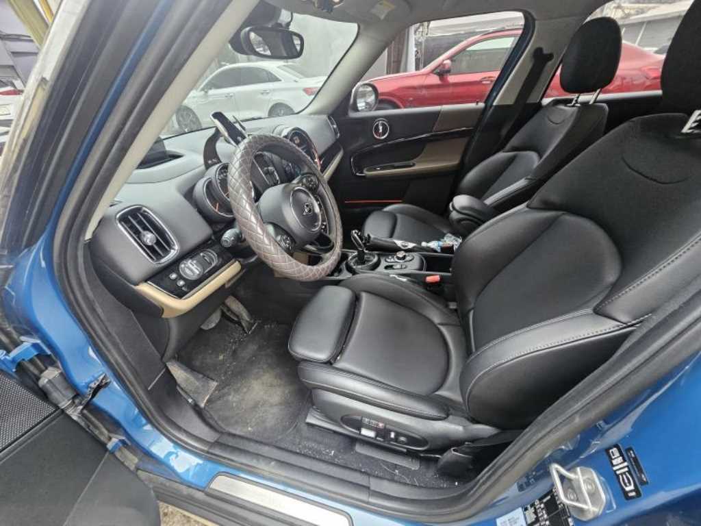 Mini Countryman - Vista 6